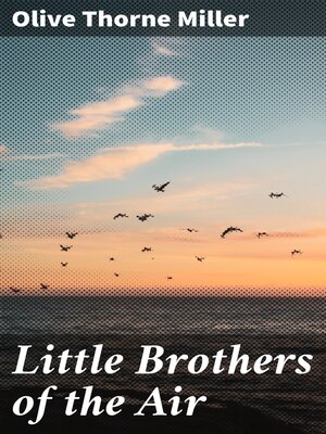 cover image of Little Brothers of the Air